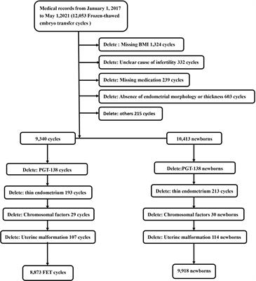 Effects of Anticoagulants and Immune Agents on Pregnancy Outcomes and Offspring Safety in Frozen-Thawed Embryo Transfer Cycles—A Retrospective Cohort Study